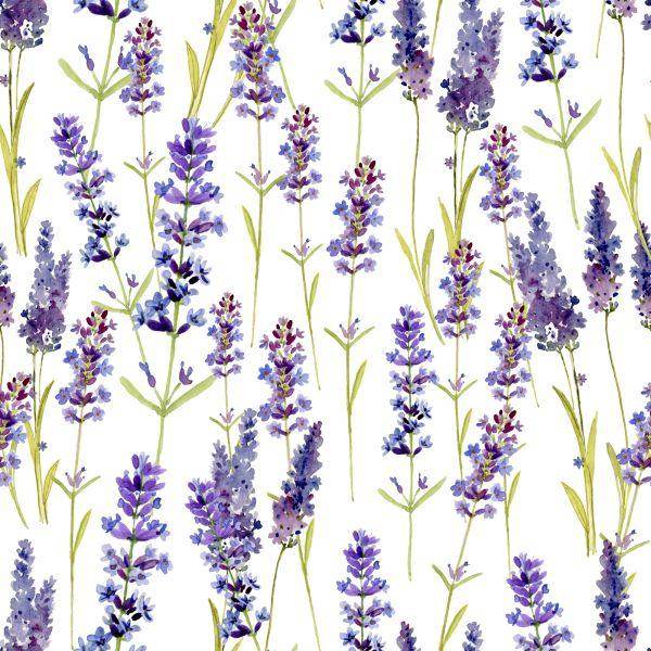 Behang Lavendel - Afbeelding 2