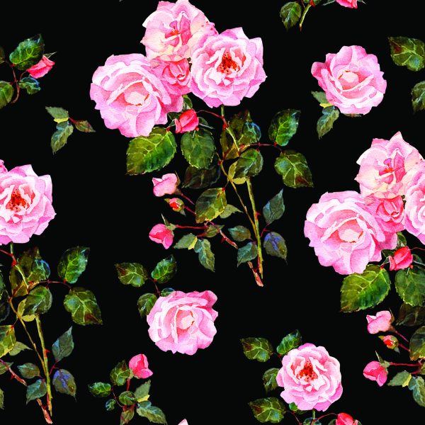 Behang Rozen Met Doornen - Afbeelding 2