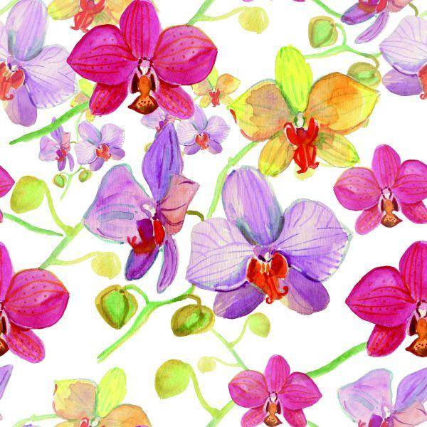Behang Orchideeën, Natuur, Bloemen - Afbeelding 2