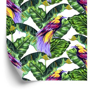 Behang Kleurrijke Vogels