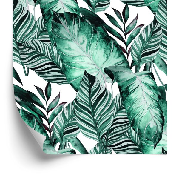 Behang Exotische Bladeren