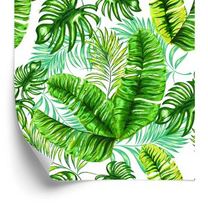 Behang Tropische Jungle Bladeren