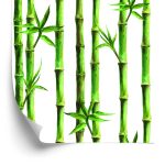 Behang Bamboo Bos