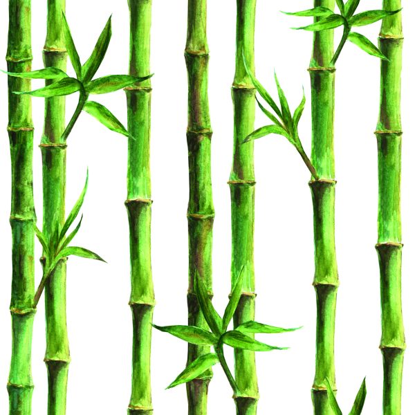 Behang Bamboo Bos - Afbeelding 2