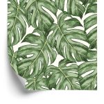 Behang Monstera Vertrekt