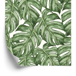 Behang Monstera Vertrekt