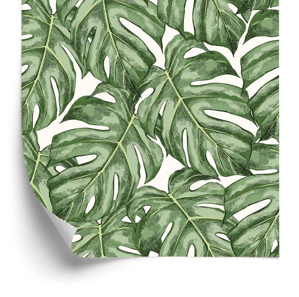 Behang Monstera Vertrekt