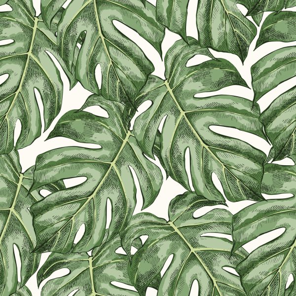 Behang Monstera Vertrekt - Afbeelding 2