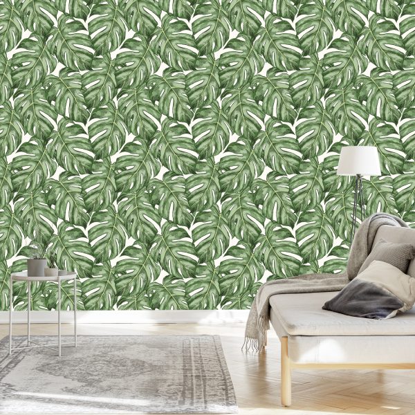 Behang Monstera Vertrekt - Afbeelding 3