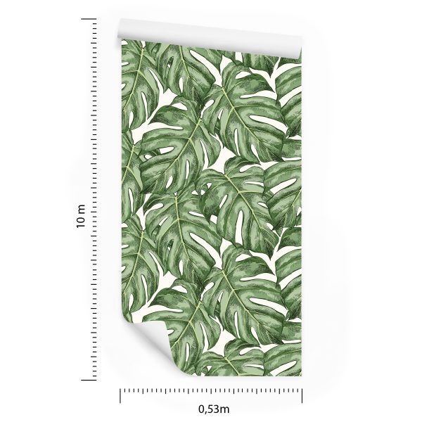 Behang Monstera Vertrekt - Afbeelding 8