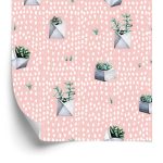 Behang Cactussen In Potten