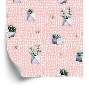 Behang Cactussen In Potten