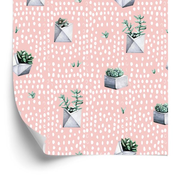 Behang Cactussen In Potten