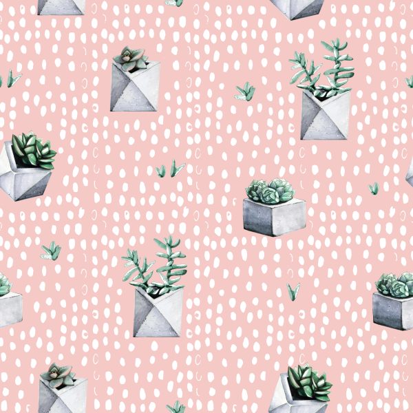 Behang Cactussen In Potten - Afbeelding 2