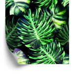 Behang Tropische Monstera Bladeren