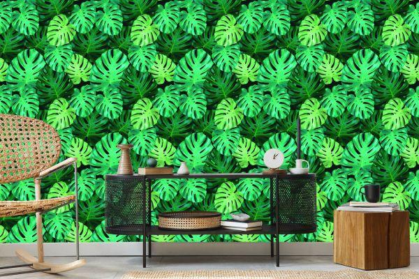 Behang Monstera Vertrekt - Afbeelding 5