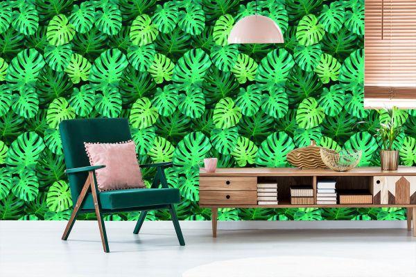 Behang Monstera Vertrekt - Afbeelding 6