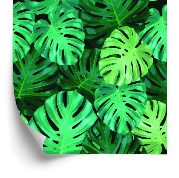 Behang Monstera Vertrekt