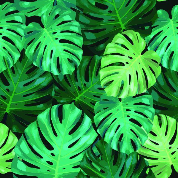 Behang Monstera Vertrekt - Afbeelding 2