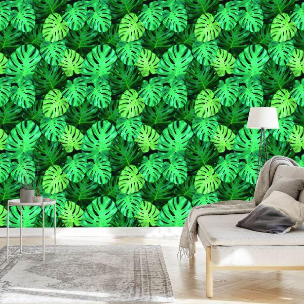 Behang Monstera Vertrekt - Afbeelding 3
