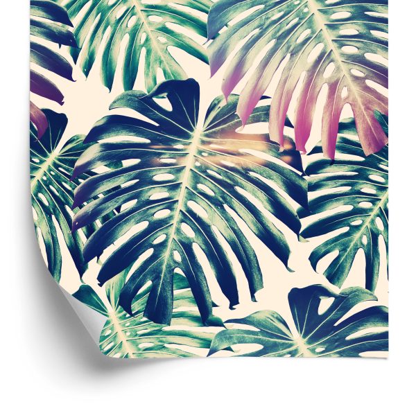 Behang Retro Monstera-Bladeren