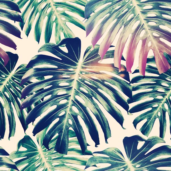 Behang Retro Monstera-Bladeren - Afbeelding 2