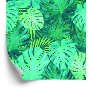 Behang Exotische Monstera Bladeren