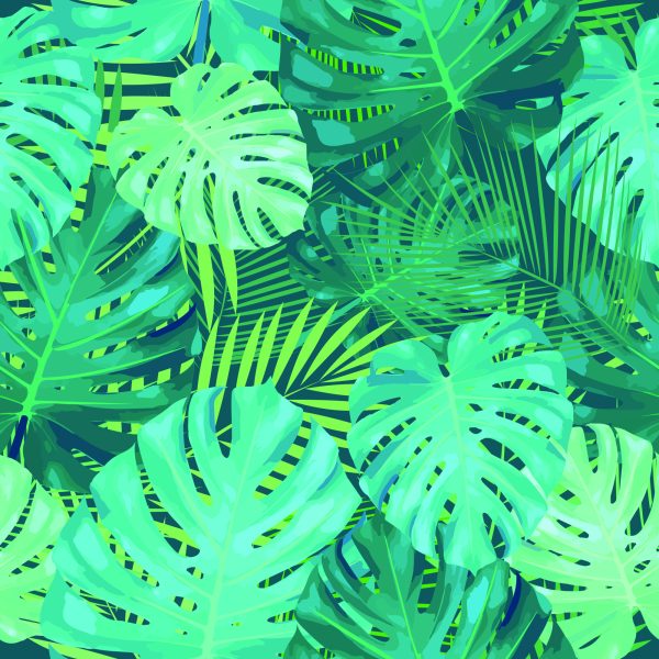 Behang Exotische Monstera Bladeren - Afbeelding 2