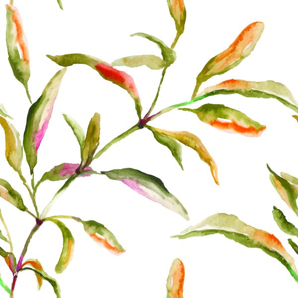 Behang Aquarel Bladeren - Afbeelding 2
