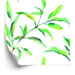Behang Lente Aquarel Bladeren