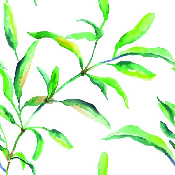 Behang Lente Aquarel Bladeren - Afbeelding 2