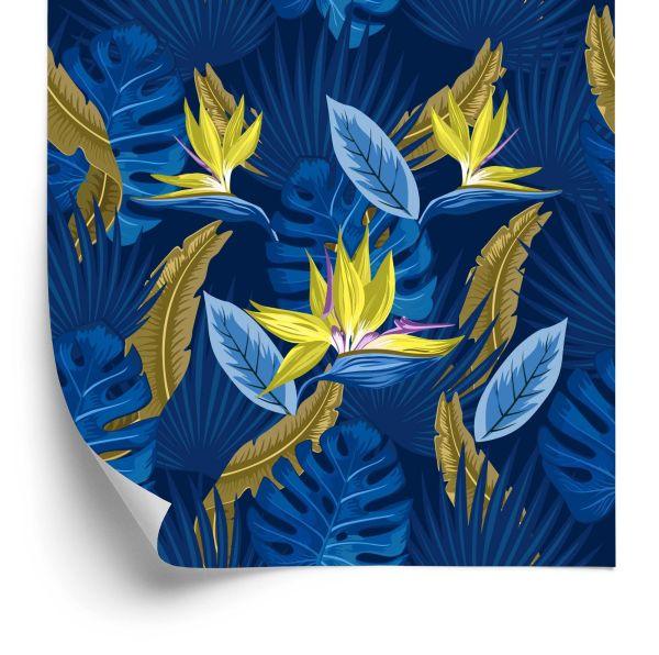 Behang Kleuren