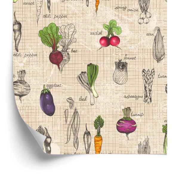 Behang Tekeningen Van Groenten In Vintage Stijl