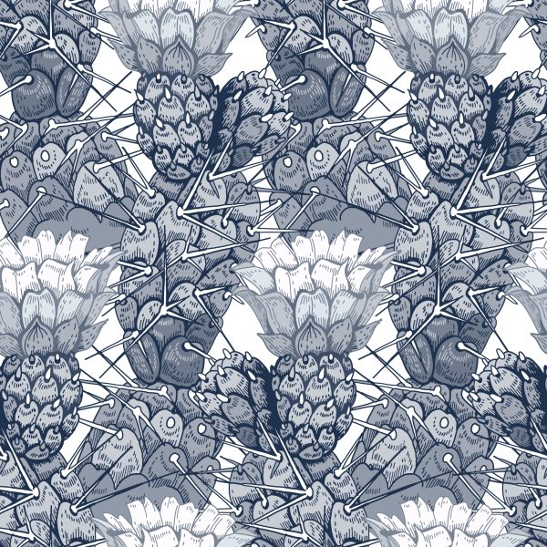 Behang Cactussen Met Bloemen - Afbeelding 2