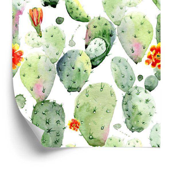 Behang Cactussen Met Vlekjes En Bloemen