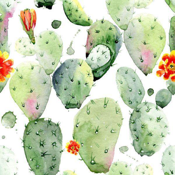 Behang Cactussen Met Vlekjes En Bloemen - Afbeelding 2