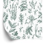 Behang Voor Keuken, Bladeren, Planten, Kruiden, Bloemen
