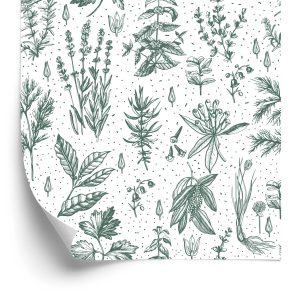 Behang Voor Keuken, Bladeren, Planten, Kruiden, Bloemen