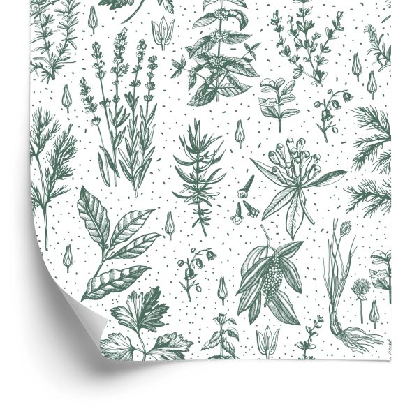 Behang Voor Keuken, Bladeren, Planten, Kruiden, Bloemen