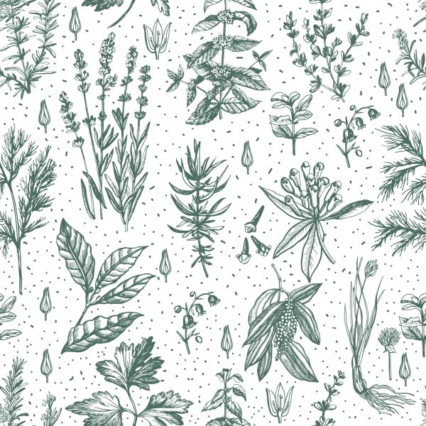 Behang Voor Keuken, Bladeren, Planten, Kruiden, Bloemen - Afbeelding 2