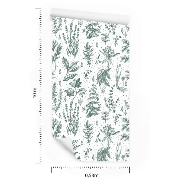 Behang Voor Keuken, Bladeren, Planten, Kruiden, Bloemen - Afbeelding 8