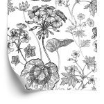 Behang Zwarte En Witte Geraniums
