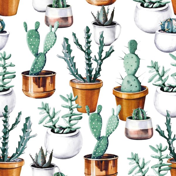 Behang Geschilderde Cactussen In Potten - Afbeelding 2