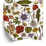 Behang Veldplanten Met Kruiden En Specerijen