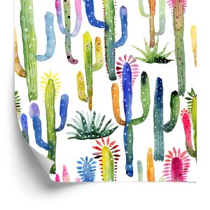 Behang Kleurrijke Cactussen