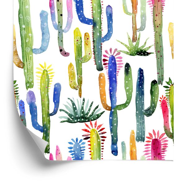 Behang Kleurrijke Cactussen