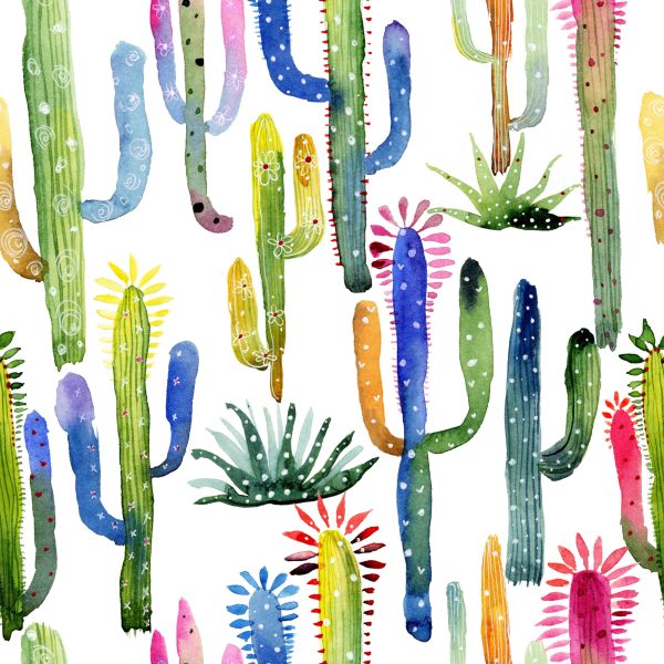 Behang Kleurrijke Cactussen - Afbeelding 2