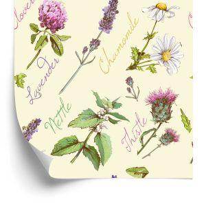 Behang Madeliefjes Met Lavendel