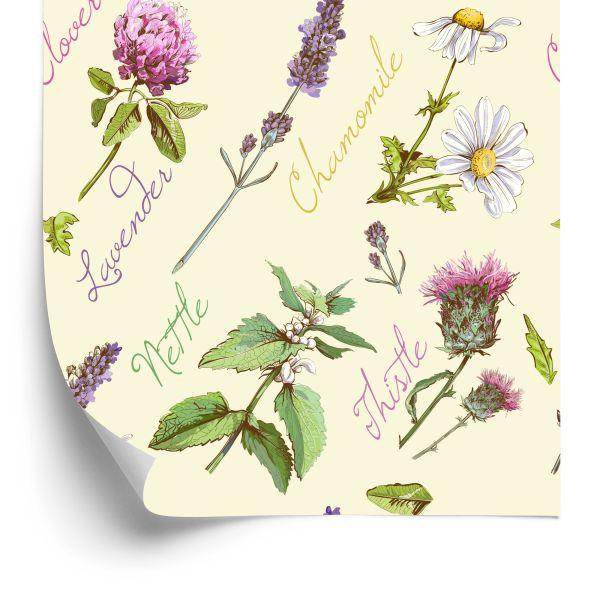 Behang Madeliefjes Met Lavendel
