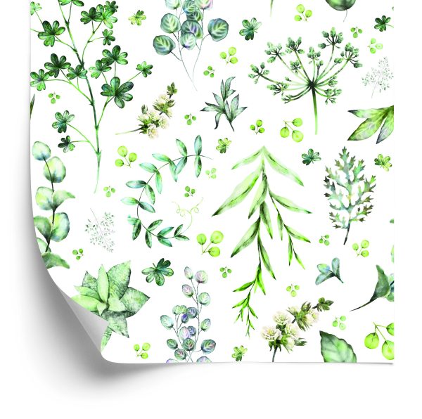 Behang Bladeren En Wilde Bloemen
